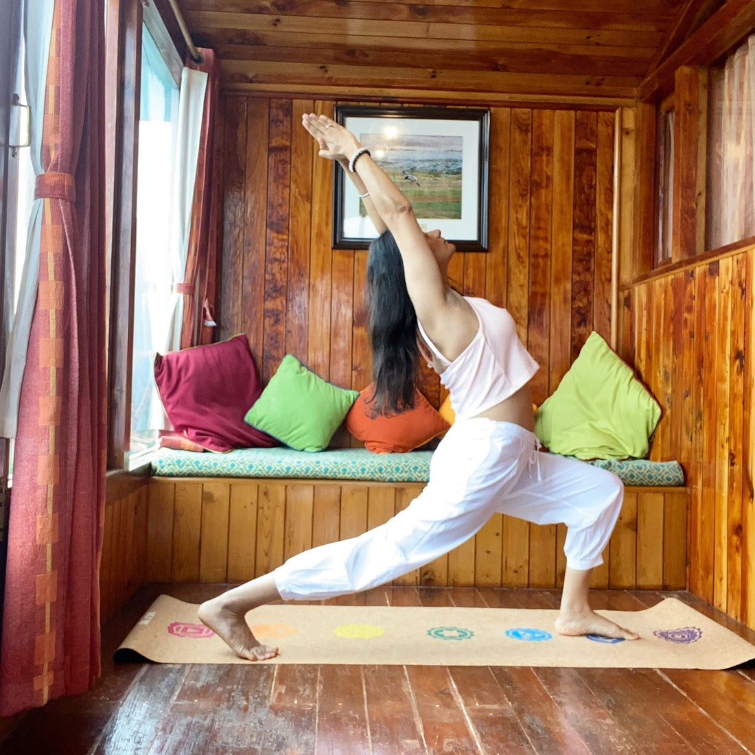 Blog #3 Attaining Universal Balance with Hatha Yoga