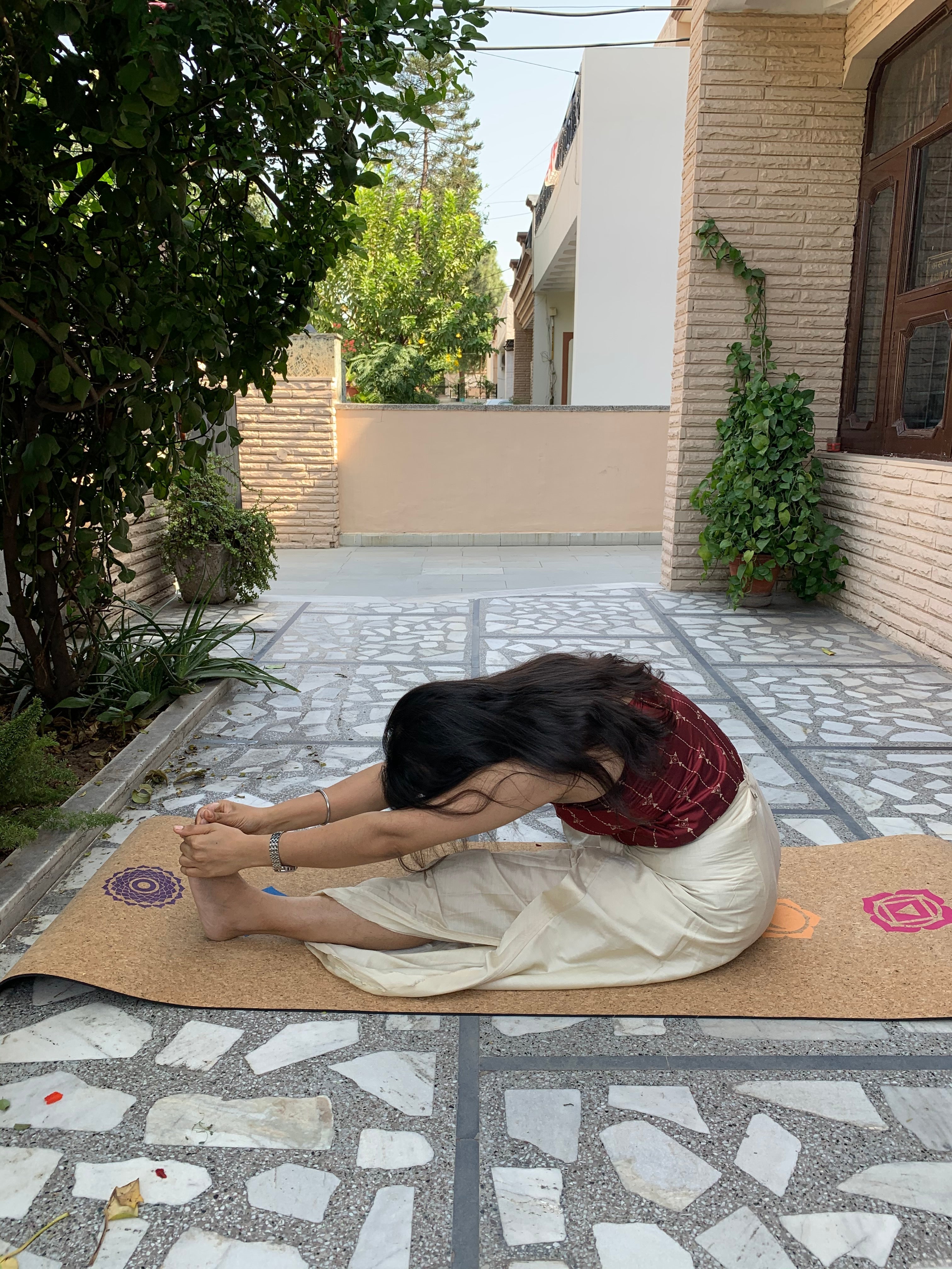 Blog #4 Ayurvedic Approach to Paschimottanasana