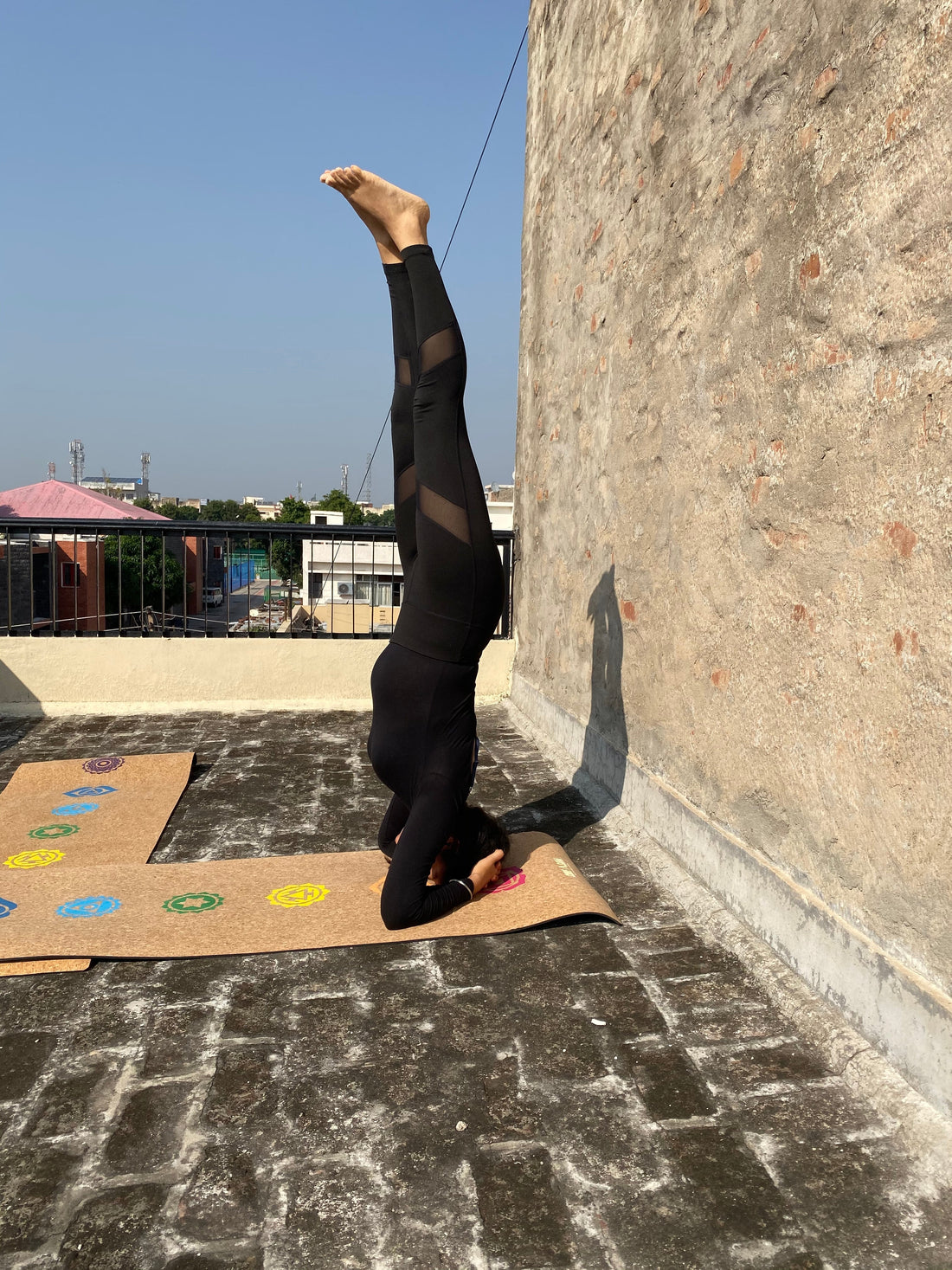 Blog #2 Yogic Tradition of Surya Namaskar for Inner Radiance