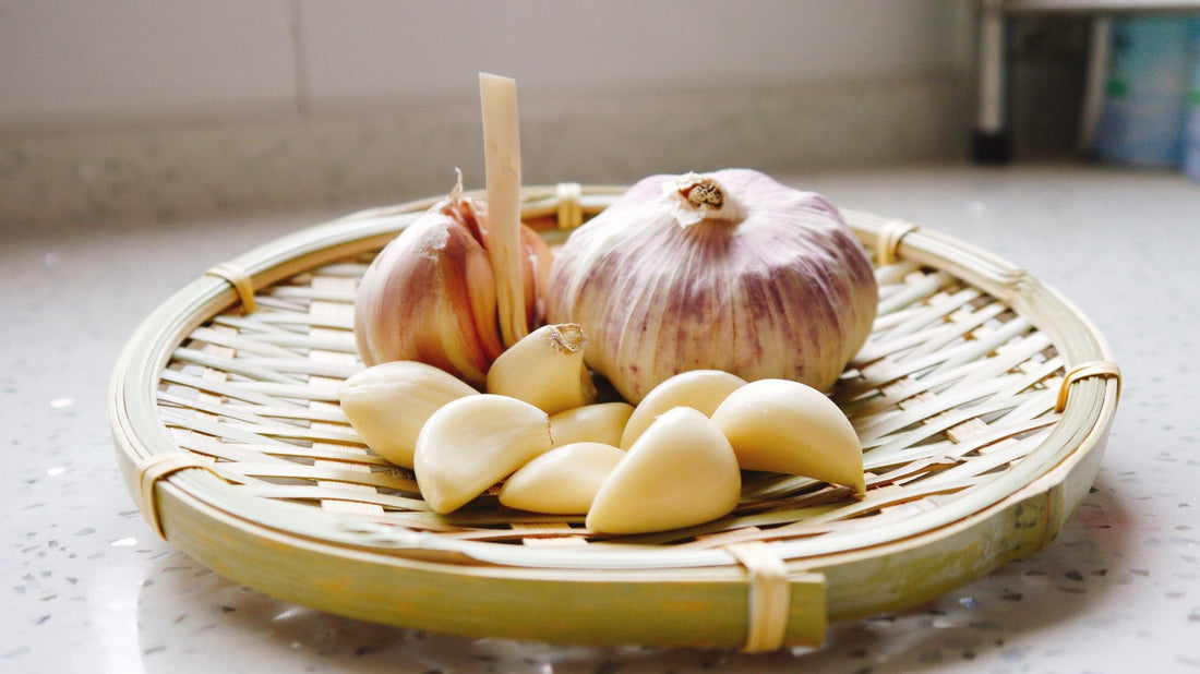 Blog #11 Garlic & Onion from Yoga & Ayurveda Perspective